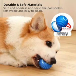 New Pet Cat Dog Balls Juguetes Para Mascotas Gatos Interactive Cat Toy Ball Katzenspielzeug Pet Cat Interactive Ball Toy
