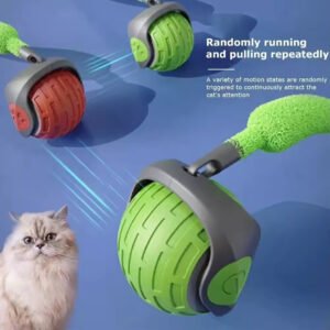 Interactive ETPU Dog Ball Toy Fun and Fashionable Training Aid Luxury Pet Supplies Design with Green Features
