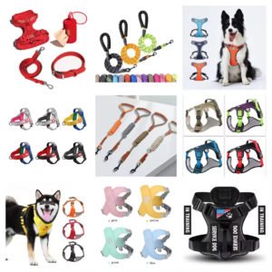 Wholesale Custom Fashion Romantic Red Rose Gifts Durable Puzzle Squeaky Crinkle Valentine Dog Toy